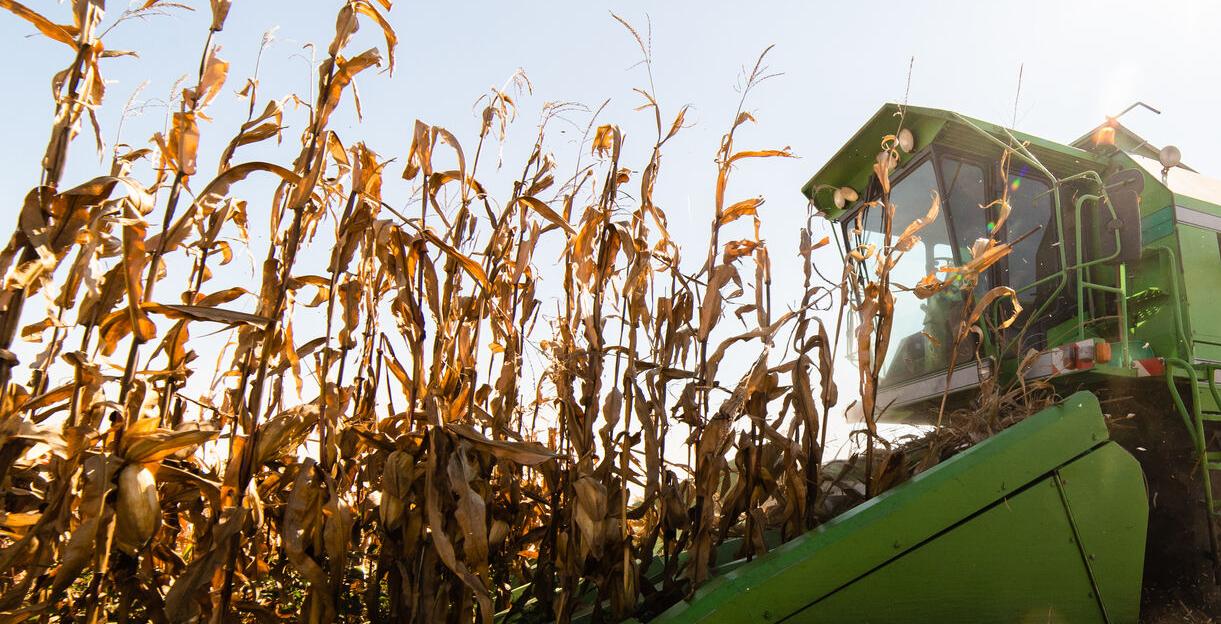 Harvesting Farming Generic